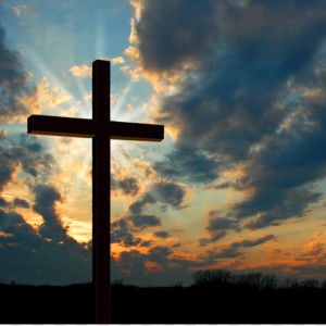 Emma Afianty profile icon