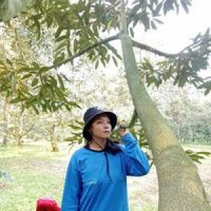 Phae Latthachak profile icon