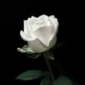 ゖゖ  ゖ profile icon