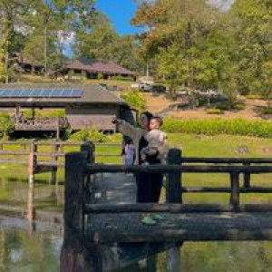 Olive Amorn profile icon