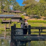 Olive Amorn profile icon