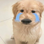 ɪ_ᴍ_ɢɪɢɪᴇ profile icon