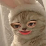 Wipada Masriha profile icon