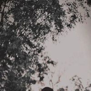 Afit Adi profile icon