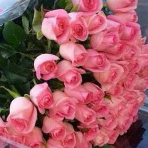 Deva Meylida profile icon