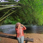 fifit Norhidayah profile icon