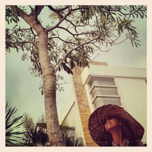 Ayu Shifa Firdhausi profile icon