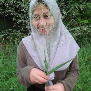 Daryatii Tii Tii profile icon