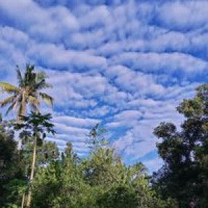 Nor Nor profile icon