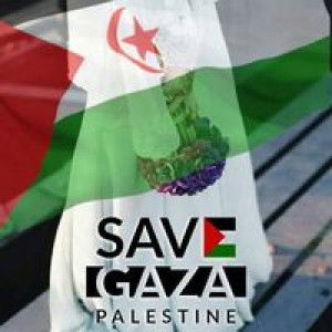 توان عفه عبدالله profile icon