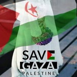 توان عفه عبدالله profile icon