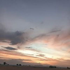 Fetree Saya profile icon