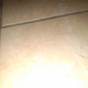 rama dhani profile icon