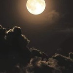 Nicha Duangsin profile icon