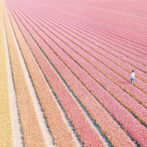 Syaza Amirah profile icon