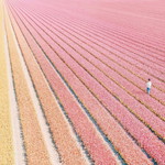 Syaza Amirah profile icon