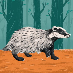 winda dwi setiasari profile icon