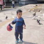 Lingga Remindauw Timothy profile icon