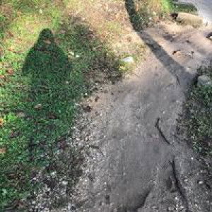 Awatif Zikran profile icon