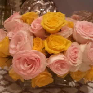 Kaida filmin profile icon