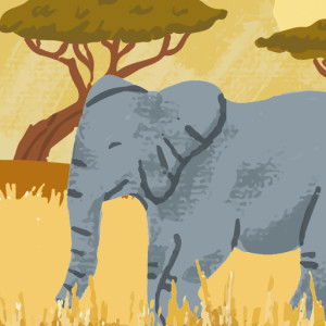 Santi Aryati profile icon