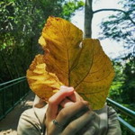 Ariska Dinda profile icon