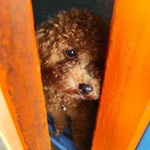 Jenny Veronica profile icon