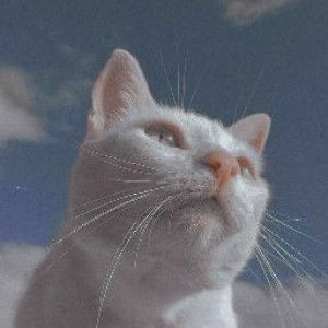 Okta Via profile icon