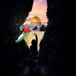 Nida Melon profile icon