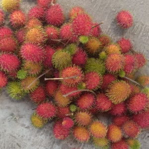 pmllstt profile icon