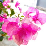 Khasmita Farkhatunnajah profile icon