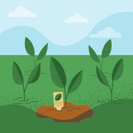 Sarvenaa Subramaniyam profile icon