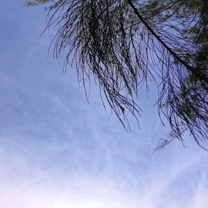 Erliana Nana profile icon