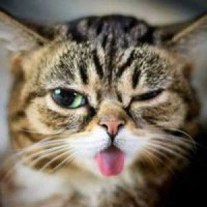 Nureedah Ma profile icon