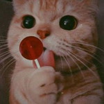 Amey Shintya profile icon