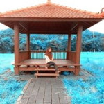 Dila Dila profile icon