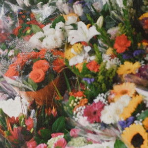 Bai Farisha profile icon