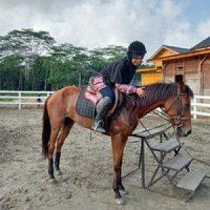 Sri Wahyuni Samrino profile icon