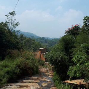 Yulia Paramitha profile icon