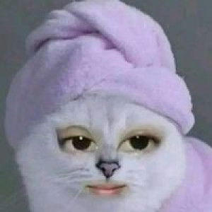 Bungsue Sema profile icon