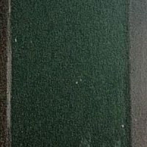 Latifah profile icon