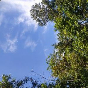 Riska Renita profile icon