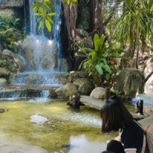 เพชรรัตน์ ไชยชิด profile icon