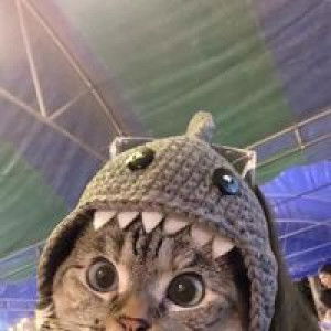 ชื่ออ ครีมม profile icon