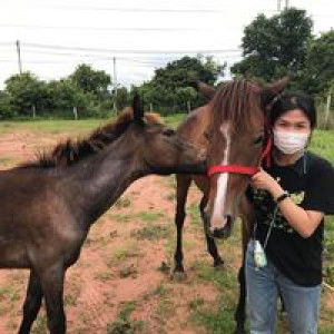 จูดี้ จูดี้คับผม profile icon