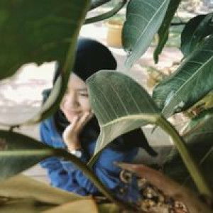 Dwi Murtiningsih profile icon