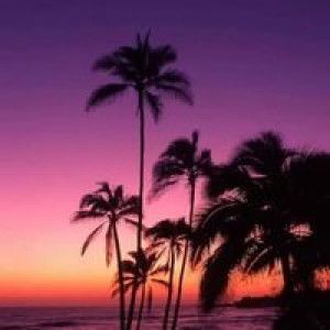 Rina NA profile icon