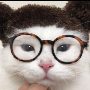 Faizul Jaafar profile icon