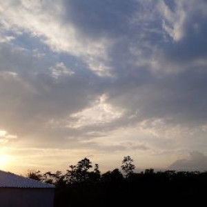 Rina Ejms profile icon