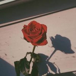 Sheli Mardiani profile icon